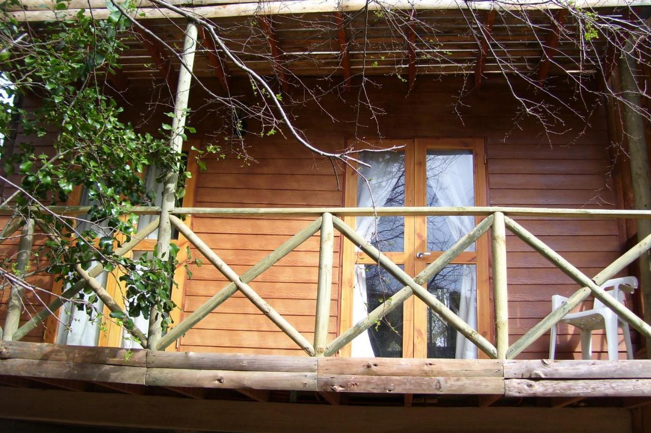Cabanas Spa Bungalows Huarranchi 푸콘 객실 사진